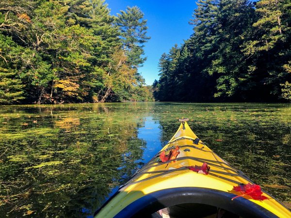 Top choix de kayaks rigides pour explorer les rivières